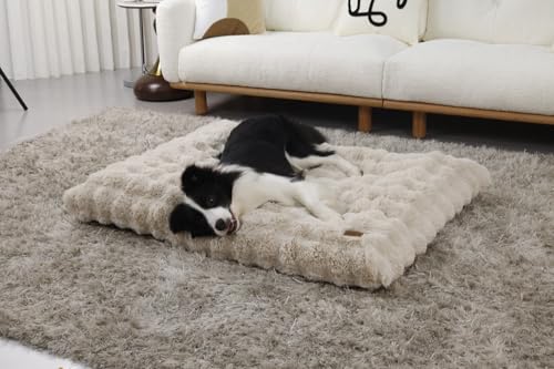 BingoPaw XXXL Hundebett Grosse Hunde: flauschig Hundebett waschbar Hundematratze wasserdicht, abnehmbar plüsch Hundekissen Haustierbett für super große oder 2 Mittelgroße Hunde, Beige, 130x110x12 cm