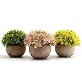 Decoración Multipropósito - Las plantas verdes pueden ayudar a las personas a relajarse e iluminar el color de la habitación, Estas plantas artificiales decorativas son excelentes decoraciones para el hogar y la oficina, pueden combinar diferentes estilos de decoración y son adecuadas para diferentes lugares, como baño, dormitorio, sala de estar, Oficina, escritorio, alféizar de la ventana, etc.