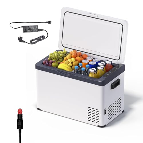 WOLTU Kompressor Kühlbox Elektrisch 12v 230v, Dual Zone Auto Kühlbox 30L, Mini Kühlschrank Gefrierbox für Lkw, Strand, Picknick, Summer Saver
