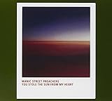 manic street preachers band wiki  You Stole The Sun From My Hear