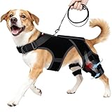 seangonna Dog Knee Brace for Torn ACL/CCL Hind Leg,Adjustable Hip Brace-Hip Dysplasia Brace-Wound Care-Reduces Pain and Inflammation-Lick Prevention-L