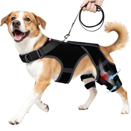 Dog Knee and Hip Brace for ACL Dysplasia Pain Relief