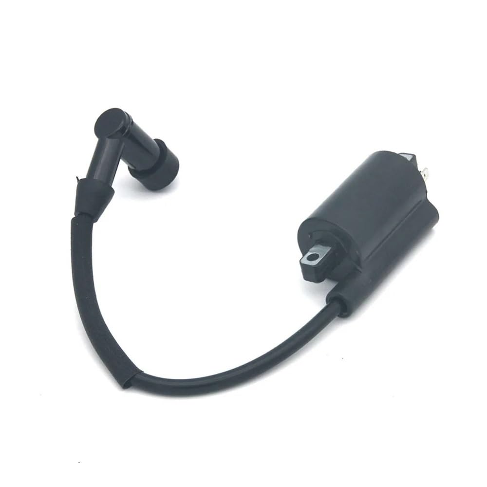 WGLZGOZP Module de bobine d'allumage Module de Bobine d'allumage pour CH26 CH735 CH745 CV26 CV7456 LH775 78509 78518