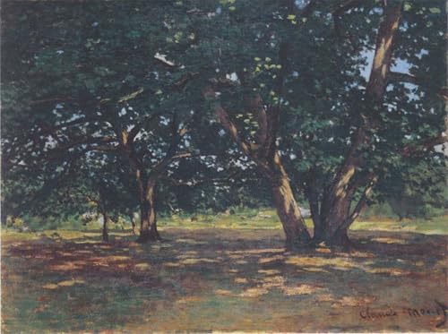 Pintura mural en lienzo de Claude Monet para decoración del hogar en tamaño 60x90cm