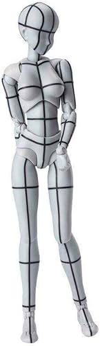 TAMASHII NATIONS - Body Chan - Wireframe (contorno de alambre) -(versión color gris), Bandai Spirits S.H.Figuarts
