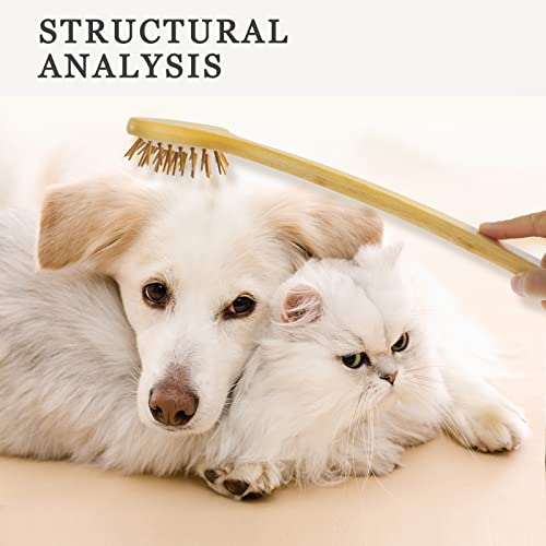 Beerfingo Large Curved Bamboo Back Scratcher - 59 Points Provide Instant Itch Relief, Curved Handle & Air Cushion, Easy To Reach Itch Point, Back Massager For Men Women Adults #TOP6