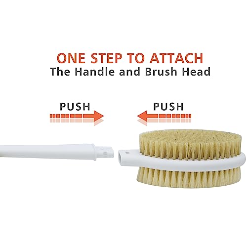 Honoma BRH666 Shower Brush With Soft And Stiff Bristles,20.5 Inch Extra Long Handle Dual-Sided Back Scrubber Bath Brush Body Exfoliator thumb #3