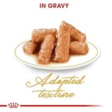 Royal Canin British Shorthair | dwupak | 2 x 12 x 85 g | mokra karma dla dorosłych brytyjskich kotów z krótkim włosiem | nadaje się od 12 miesiąca życia | małe kawałki sosu