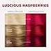 Splat Luscious Raspberries Semi Permanent Hair Dye Kit with Bleach, 1 Application, Includes Red Hair Dye, Oxide & Bleach Powder, Vegan & Cruelty Free Hair Color
