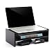 TAVR Computer Monitor Stand Riser Desk Top Storage Organizer for TV Laptop Printer Stand 16.7 x 9.4 inch 2 Tiers Shelves Black CM1002