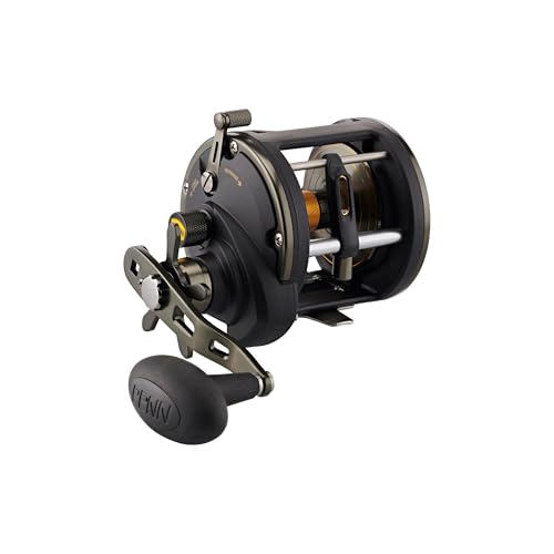 PENN Squall II Level Wind Conventional Fishing Reel, Black Gold, 30LW