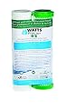 Watts Premier 4-Stage Bi-Annual Filter Kit, 2 Piece Set, Plain