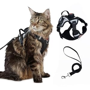 Cat Harness Leash
