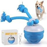VeftBltrem Chase Buddy Interactive Dog Toy for Boredom – Automatic Moving Ball with Jumping & Rolling, Self-Playing Rechargeable Smart Toy, Motion-Activated for Small Dogs (Type-C Charging)