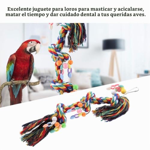 La Mejor Recopilación de Cotorro - solo los mejores. 25 La Mejor Recopilación de Cotorro - solo los mejores. 21