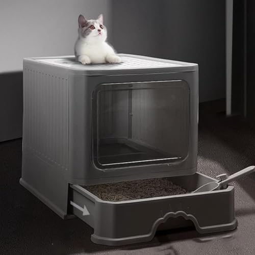 REENEW ̊S^LgC h[^Cv LpgC{ ot |ȒP 2WAYo@ ^L hAt 傫TCY ӂt юUh~  LXTCY SJo[ RۖhL jƂgC RpNgLgC 