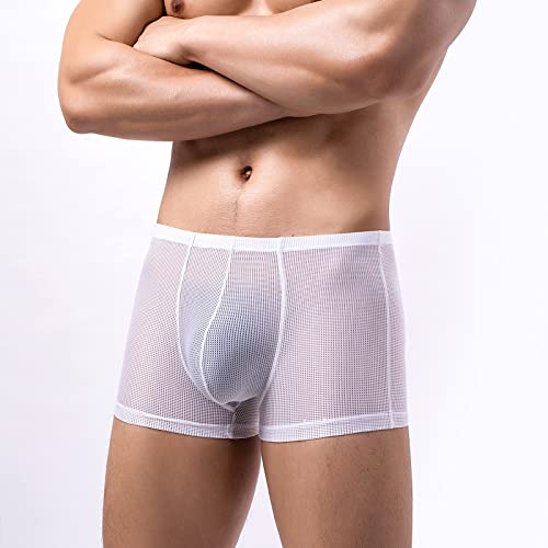 Evankin Mens Sexy Mesh Boxer Briefs Low Rise Underwear Breathable Hollowed Out Boxers Assless(White,L) - Image 4