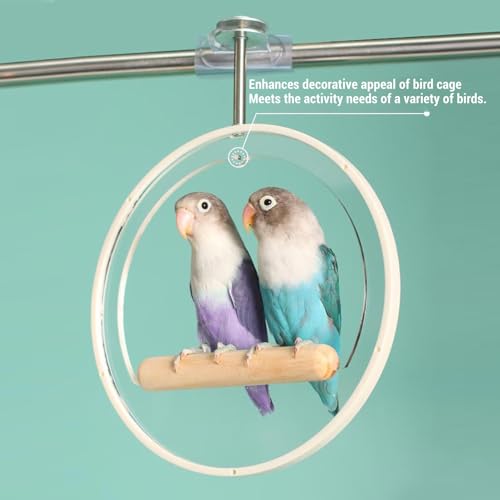 Swing de Círculo de Papagaio, 7,7 in Acrílico de Acrílico Gaiola de Pássaro Playground Pendurando Ga