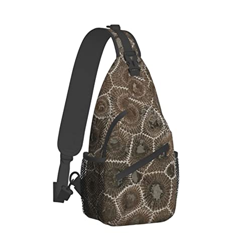 Petoskey Stone Weekend Outdoor Hiking Backpack =>> Suitable For Men And Women Riding Strong And Sturdy. High Storage Capacity.2