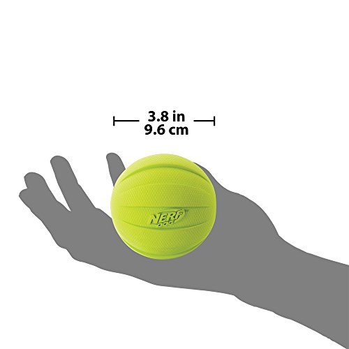 Nerf Dog Squeak Ball, Large - Image 5