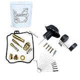 Carburetor Rebuild Kit for Yamaha XV250 V-Star/Virago Motorcycles Mikuni BDS26 [Anametircp]