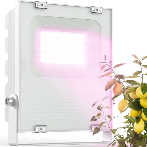 Lampe LED hivernage plantes : spectre complet expert Meine Orangerie