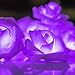 Avanti 20 Led Battery Operated String Romantic Rose Flower Fairy Light Lamp Outdoor for Valentine's Day, Wedding, Room, Garden, Christmas, Patio, Festival Party Decor (Purple)