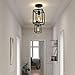 MIPAWS Black Industrial Pendant Light, Farmhouse 1-Light Small Chandelier with Adjustable Cord, Rectangle Cute Hanging Lights for Hallway, Kitchen Island, Dinning Room, Entryway (5.9'' x 8.5'', E26)