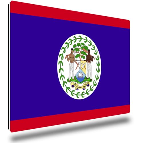 TRIOSK Kühlschrankmagnete Länderflaggen Magnet Flagge Belize Länder Reise Souvenir Geschenk für Reiselustige Frauen Männer Weltenbummler Kühlschrank stark eckig groß 85x55 mm