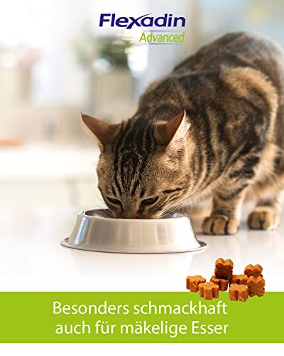 FLEXADIN ADVANCED® Katze |Innovativer Ansatz für die Gelenkgesundheit | Undenaturiertes Kollagen Typ II – 60 Gelenkleckerli