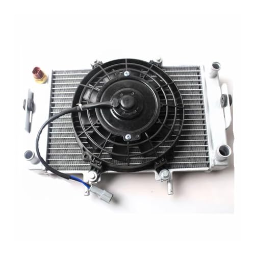 Radiateur ASSY pour Buyang FA-D300 H300 résout les fuites de liquide Quad Bike