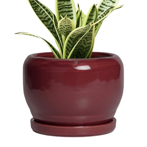 SQOWL 6 Inch Plant Pot - Ceramic Planter for Indoor Plants Outdoor, Round Planter with Drainage Hole and Saucer, Decorative Modern Small Flower Pots, Room Decor, Gifts for Plant Lovers, Red