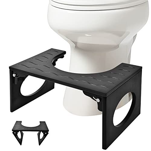 Find The Best Toilet For Large Poop Reviews & Comparison Katynel