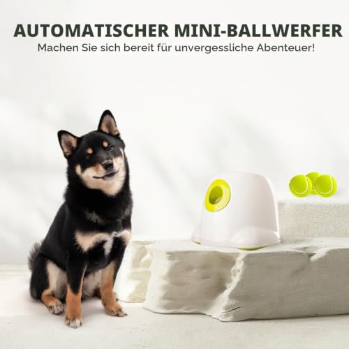 ALL FOR PAWS Hundeballwerfer für kleine Hunde, Interaktives Hundespielzeug Tennisballwerfer, Geistiges Training, Spielzeug zum Ballwerfen mit 3 enthaltenen 5 cm Bällen