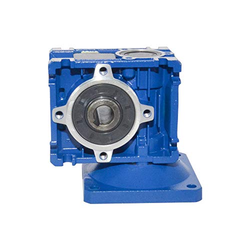 Riduttore a vite senza fine con rapporto