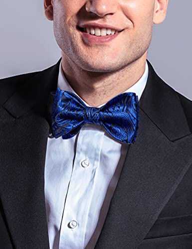 Image of DiBanGu Men Bow Tie Paisley Striped Self-Bow Tie for Men and Silk Woven Bowtie Pocket Square Cufflinks Wedding Party