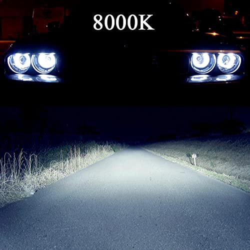 Image of 55W Heavy Duty HID Xenon Replacement Bulbs for 12V and 24V vehicles Headlight Fog-light (Pack of 2 bulbs) (H8 /9 /11 /16(they are same), 8000K)