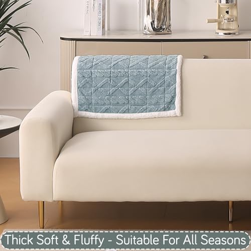 Image of HOKIPO 'Italian Caelora' Luxury Jacquard Plush Sofa Backrest Cover Mat 55x80 cm | Pack of 1 Anti Slip Backrest Mat, Powder Blue (AR-6225-BL)