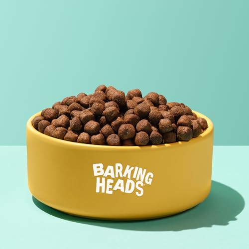 Barking Heads Complete Trockenfutter für Hunde, 2kg, für Erwachsene, All Hounder Hair Necessities, Lachs, natürlich, getreidefrei, hypoallergen für Haut und Fell, tierärztlich zugelassen