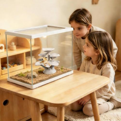 Plataforma de escalada para reptiles en salones y balcones 3