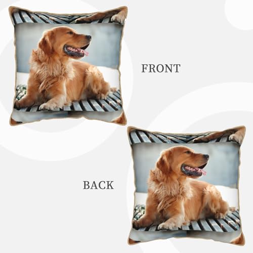 Housse de coussin Golden Retriever en velours doux pour déco salon - 4
