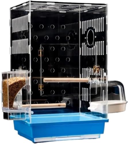 Rcuihak IE pm}ANP[W hHϏ ƒpWP[W L Kp (10 x 10 x 10 mm)