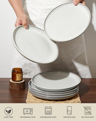 Image of Pokini Ceramic Dinner Plates Set of 6, 10inch Salad, Dessert Plates Dishes | Reactive Glaze Stoneware Dish Set, Dinner Plate for Dessert, Salad, Appetizer, Microwave & Dishwasher Safe, Scratch Resistant