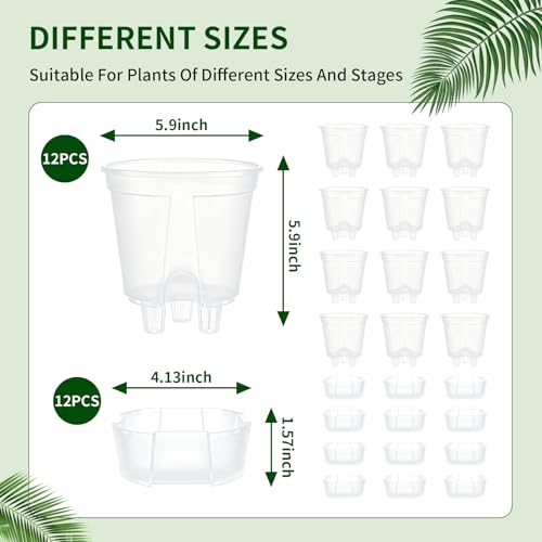 Cdd's Path 6 Inch Clear Self Watering Pots Set, 12 Pack Naked Root Planter with Deep Water Tank, Large Drainage Holes, Reservoir & Air Pipes for Indoor Outdoor Plants, Flowers, Seedlings by Cdd's Path - Used condition - Image 3