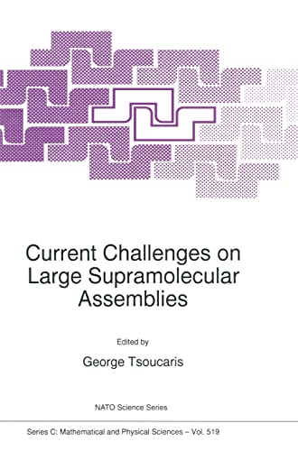 Current Challenges on Large Supramolecular Assemblies (NATO Science Series C: (closed))