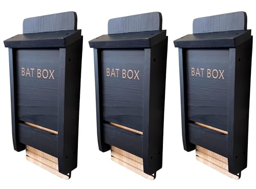 Selections Black Wooden Bat Nesting Roosting Box House with Gooved Interior - Pack of 3