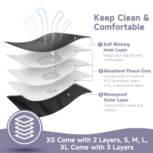 Image of Paw Legend Reusable Female Dog Diapers(3 Pack,Black,Medium)