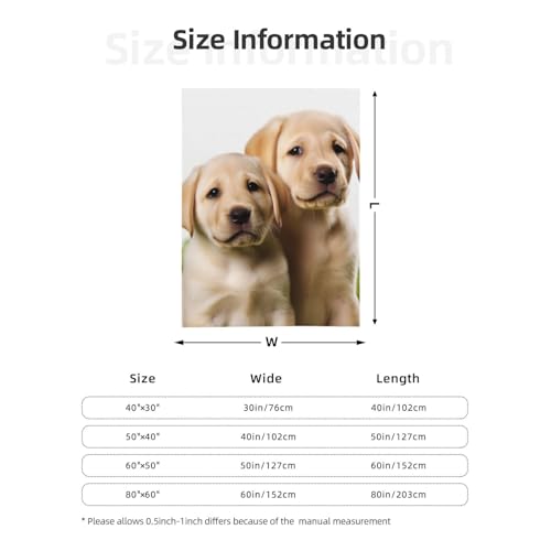 Couverture pour climatisation chiot labrador fini les frissons de nuit