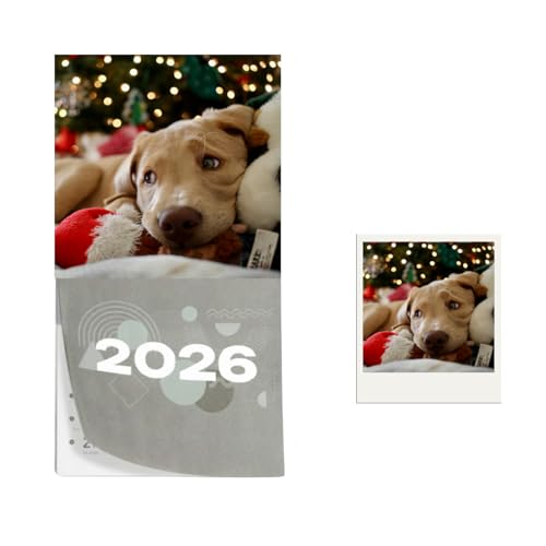GRUPO DARIK Calendario Magnético 2025-2026 para Nevera - Papel Fotografico Planificador Mensual con Imán Extra Fuerte para Refrigerador, Organizador de Cocina y Hogar