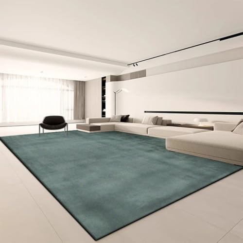 Tapis de salon grande surface peluche isolant thermique pour sol froid - 2